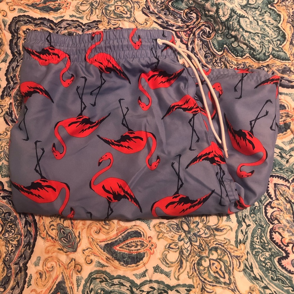 Men’s Flamingo Swim Trunks